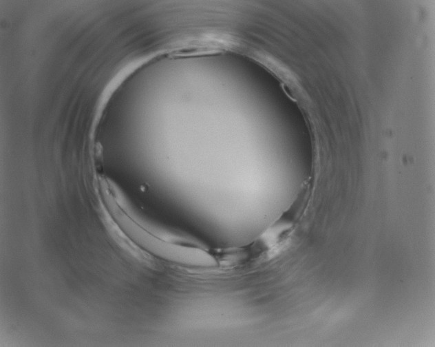 X0000077381200200611031928