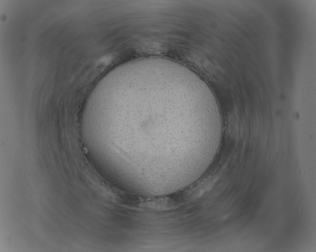 X0000077381201200611031928