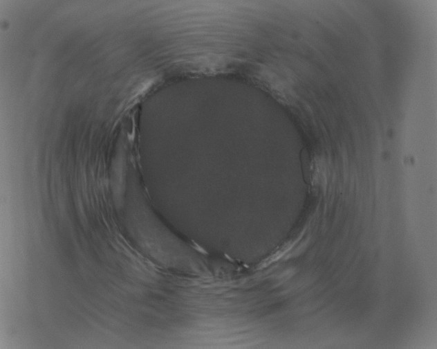 X0000077381202200611031928