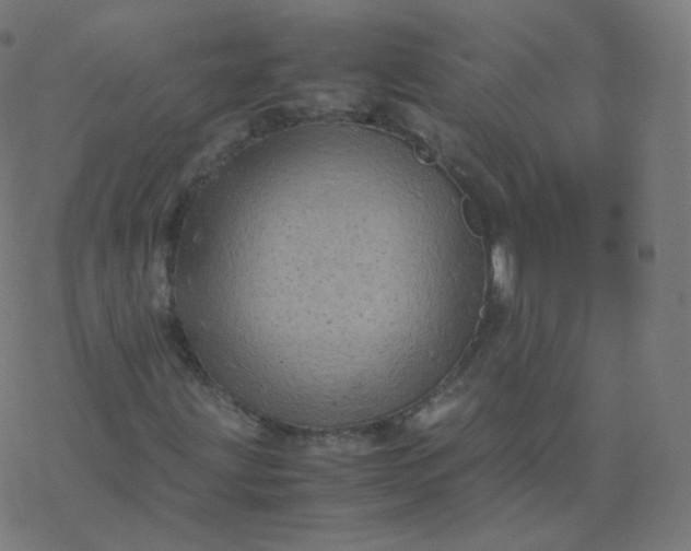 X0000077381203200611031928