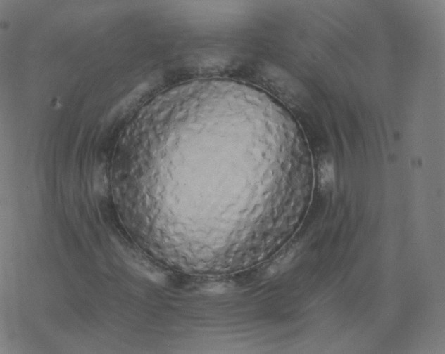 X0000077381204200611031928