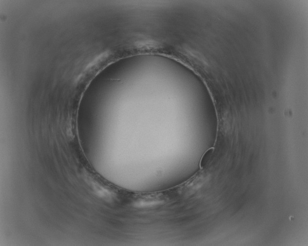 X0000077381205200611031928