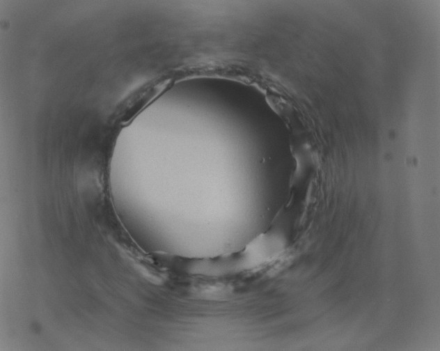 X0000077381206200611031928