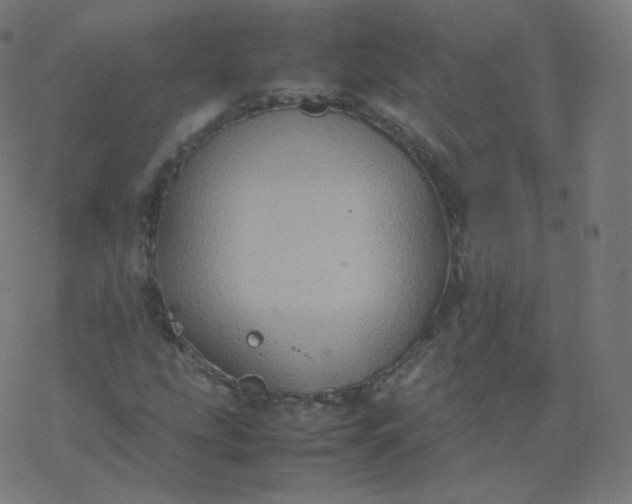 X0000077381207200611031928