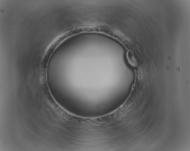 X0000077381208200611031928