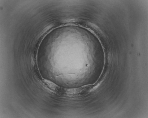 X0000077381209200611031928