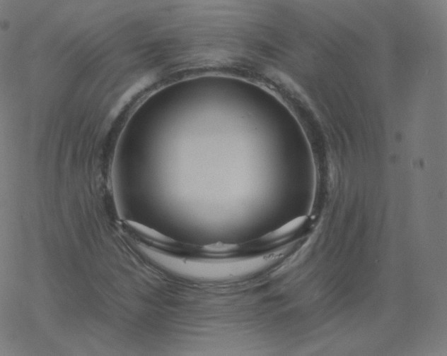 X0000077381210200611031928