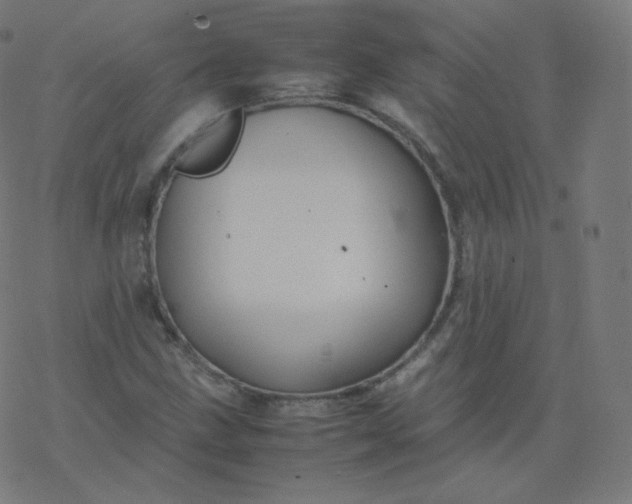 X0000077381211200611031928