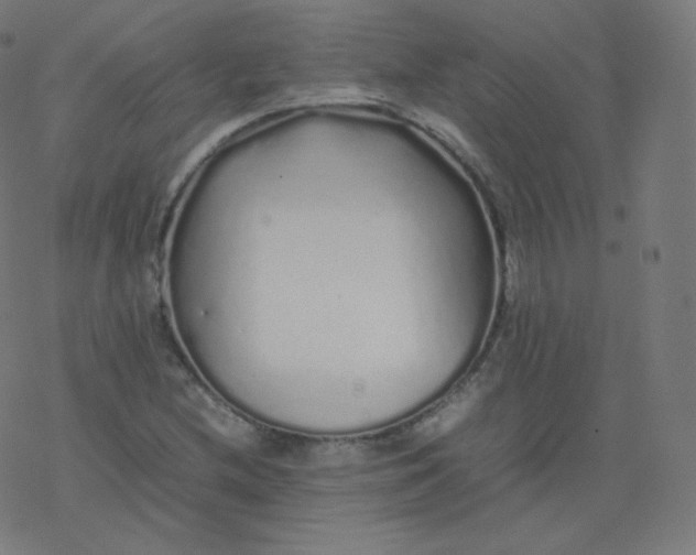 X0000077381212200611031928