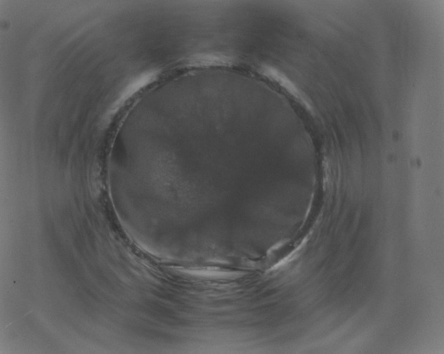 X0000077381213200611031928