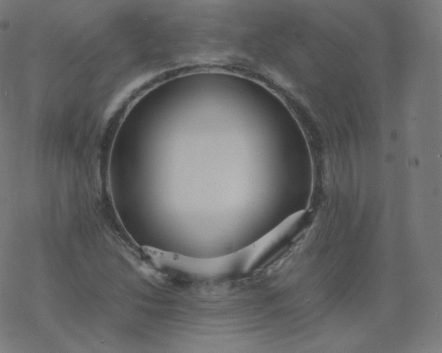 X0000077381214200611031928