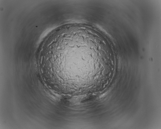 X0000077381215200611031928