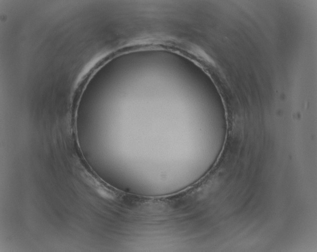 X0000077381216200611031928