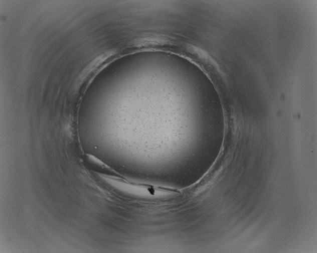 X0000077381217200611031928