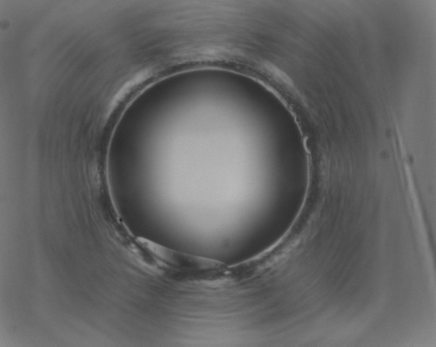 X0000077381218200611031928