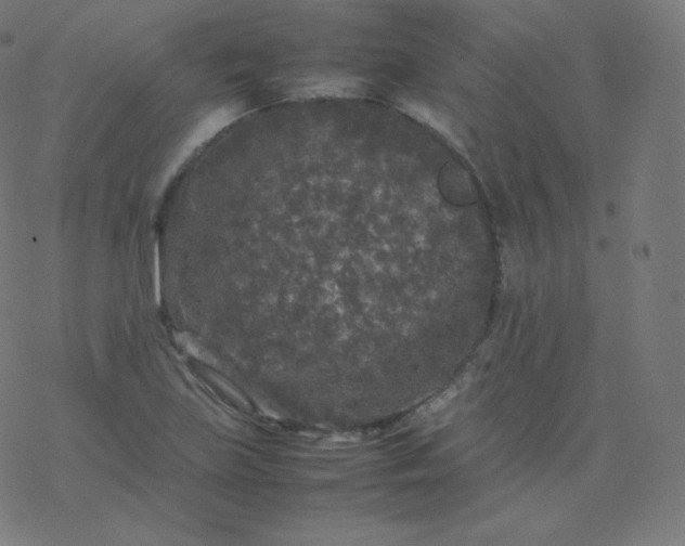 X0000077381219200611031928