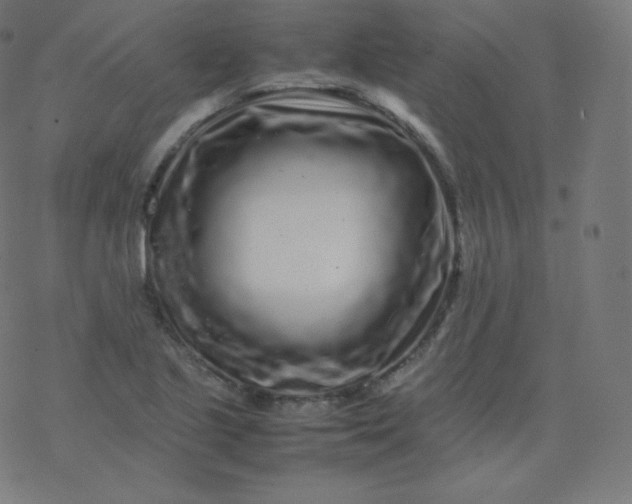 X0000077381221200611031928