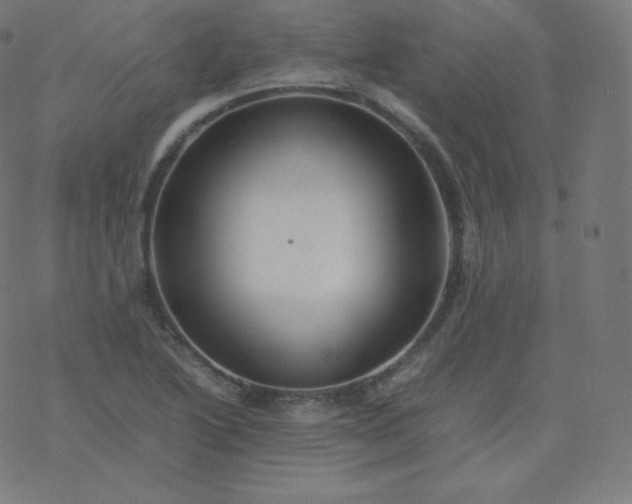 X0000077381222200611031928