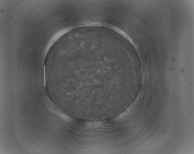 X0000077381223200611031928