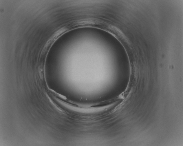 X0000077381225200611031928