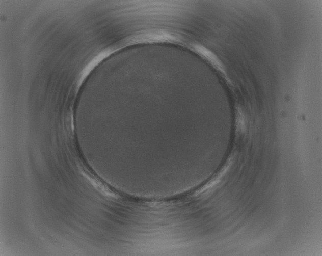 X0000077381226200611031928