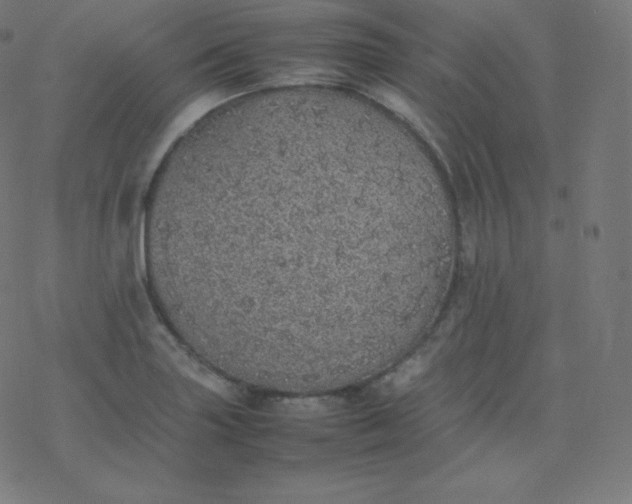 X0000077381227200611031928