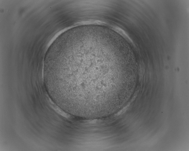 X0000077381228200611031928