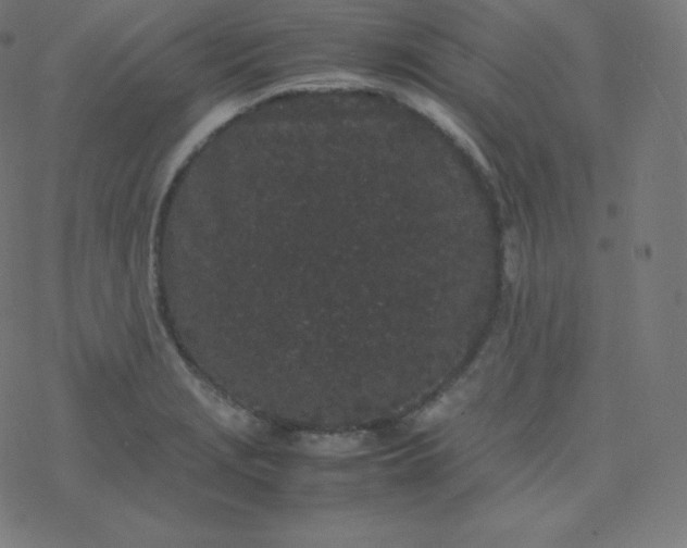 X0000077381229200611031928