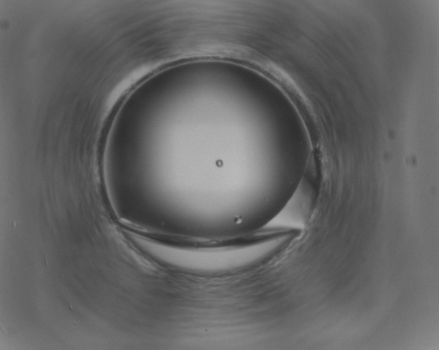 X0000077381230200611031928