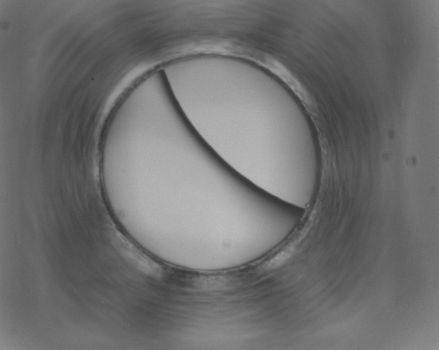 X0000077381232200611031928