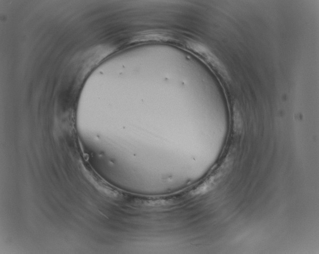 X0000077381233200611031928