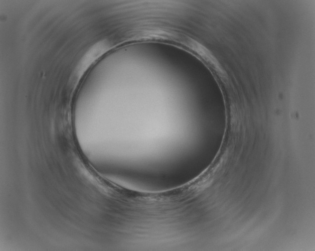 X0000077381234200611031928