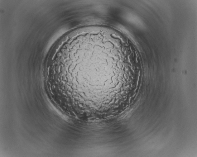 X0000077381235200611031928