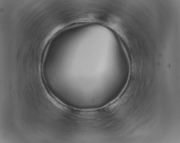 X0000077381237200611031928