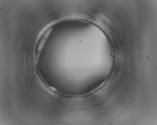 X0000077381238200611031928