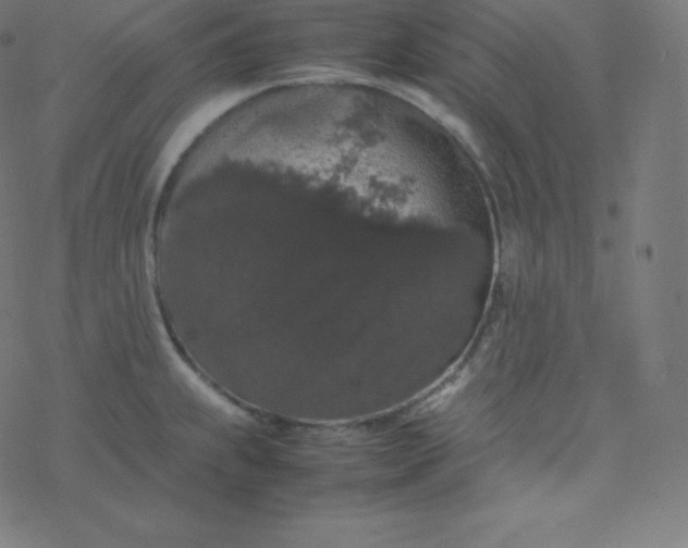 X0000077381239200611031928