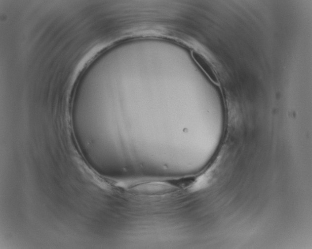 X0000077381240200611031928