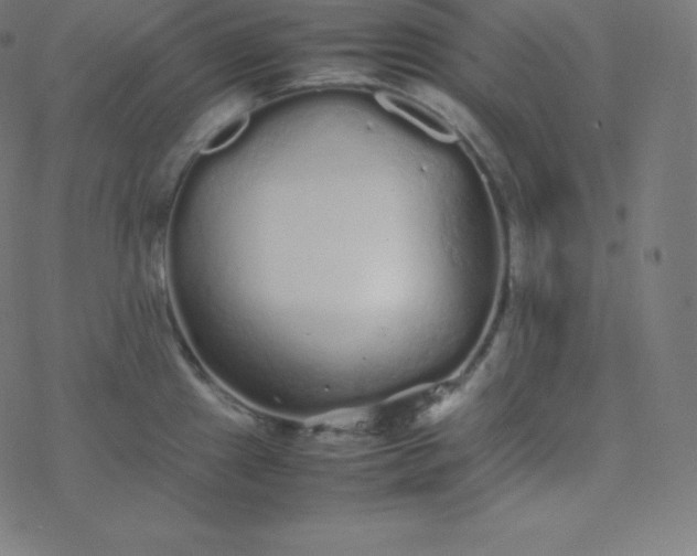 X0000077381241200611031928