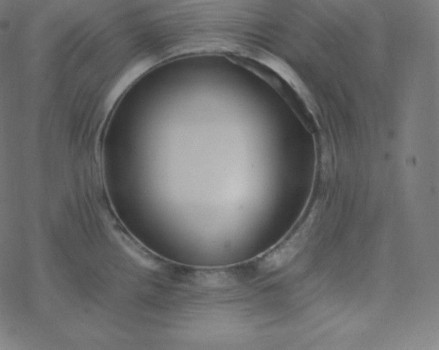 X0000077381242200611031928