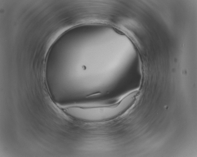 X0000077381244200611031928