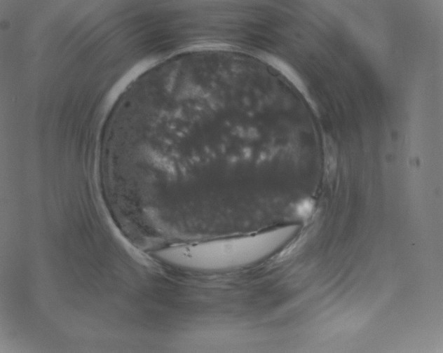 X0000077381245200611031928