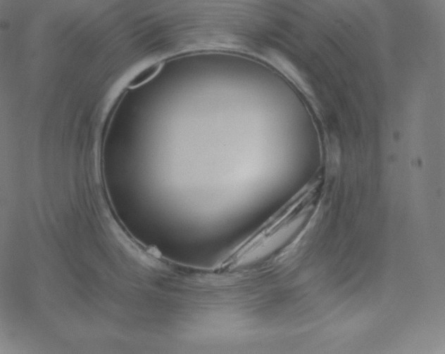 X0000077381246200611031928