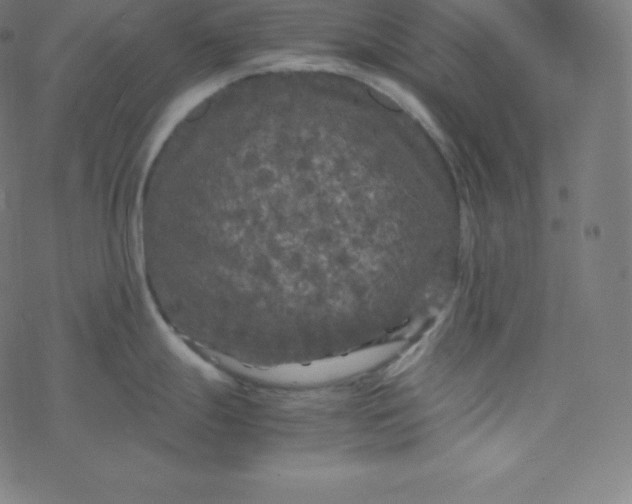 X0000077381247200611031928