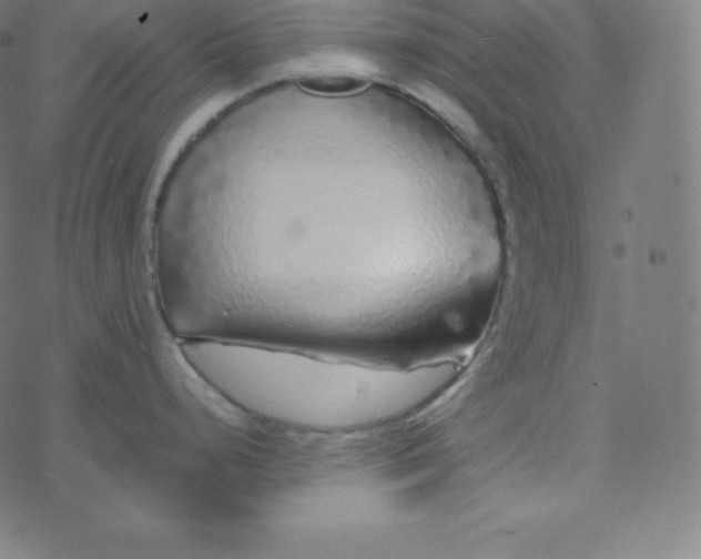 X0000077381248200611031928