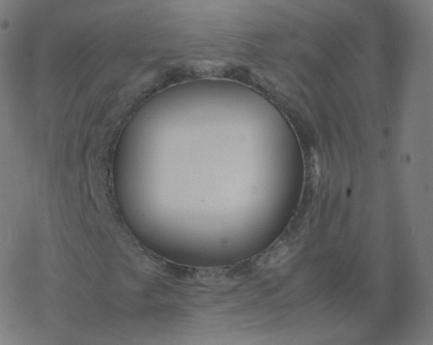 X0000077381249200611031928