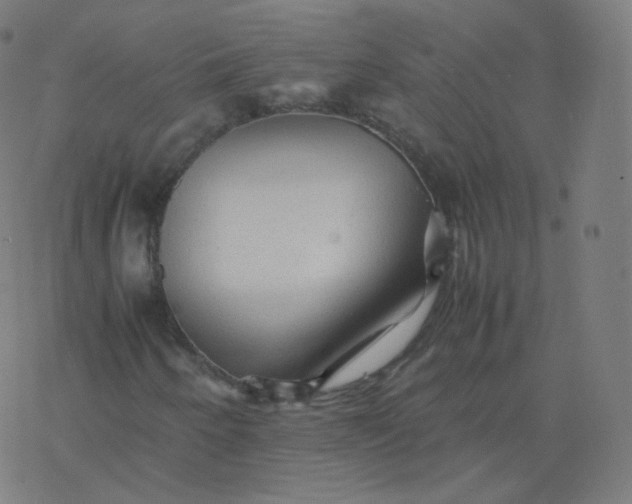 X0000077381250200611031928