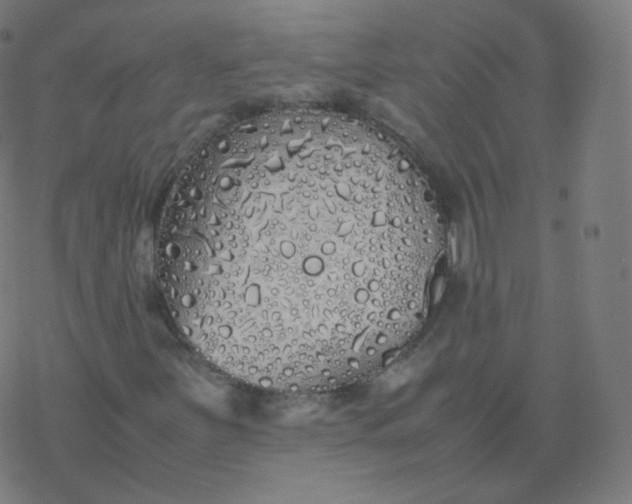 X0000077381251200611031928