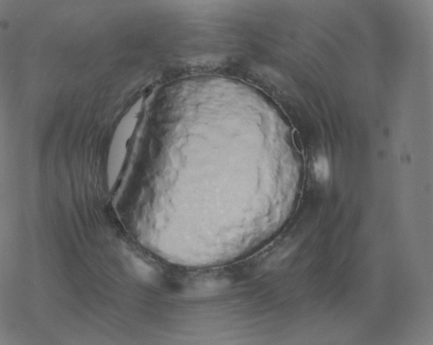 X0000077381252200611031928