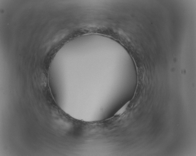 X0000077381253200611031928