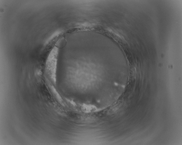 X0000077381254200611031928